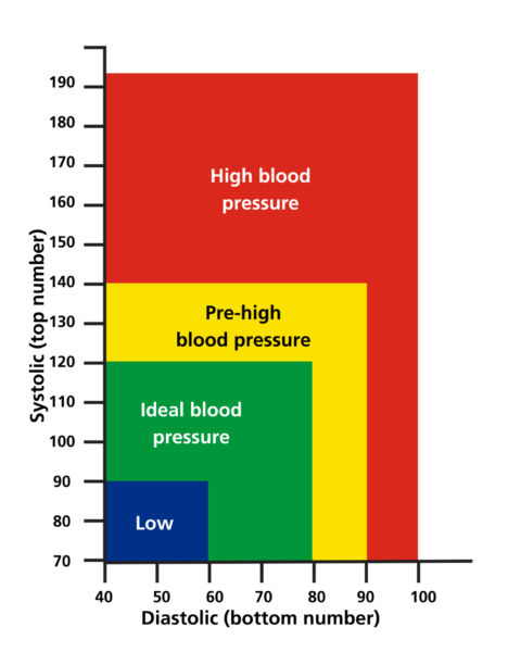 Blood pressure diagram