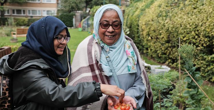 Islington Bangladesh Association runs a gardening club at Barnsbury Community Centre